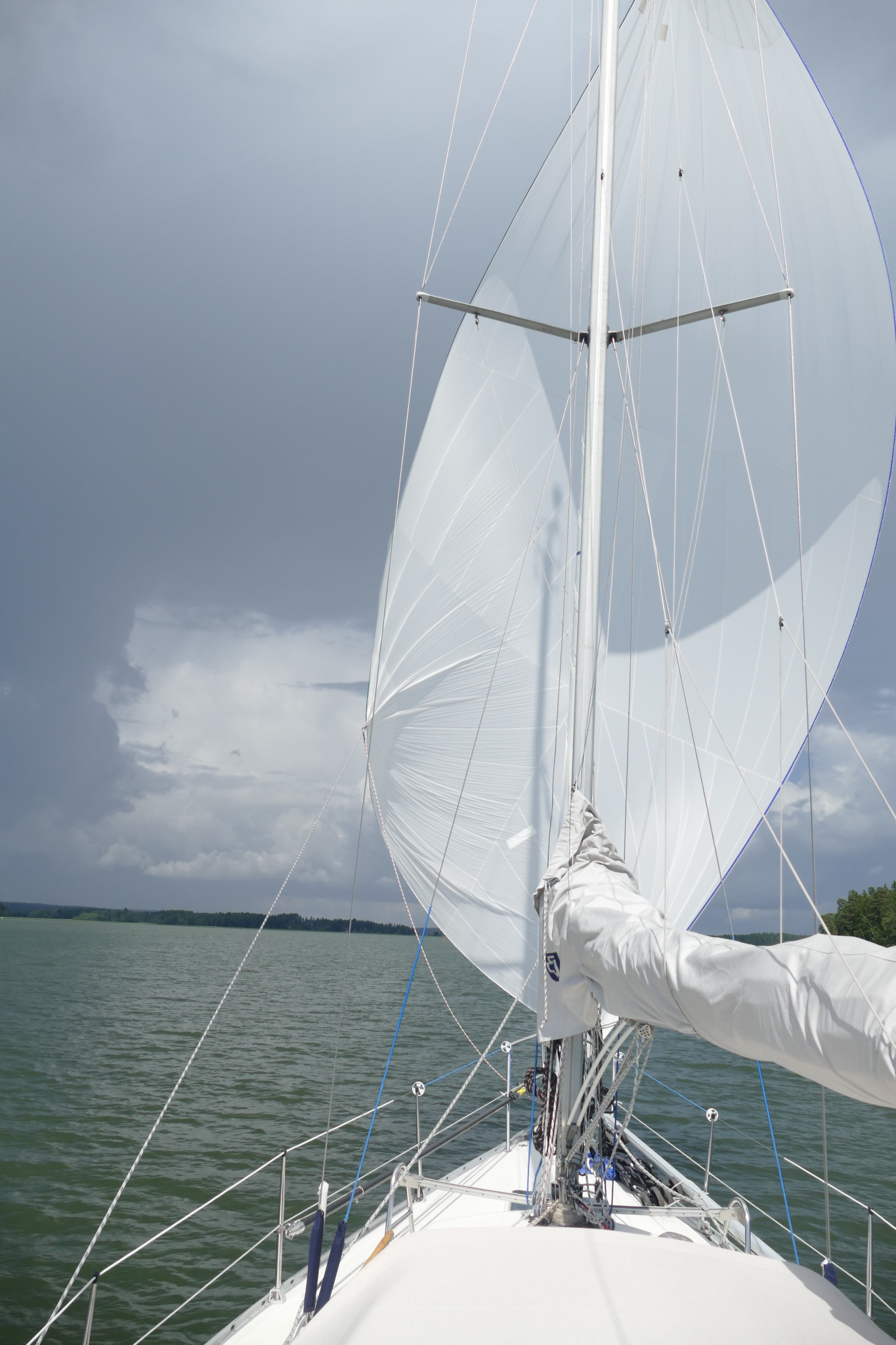 Albin Delta 31 | Skipperi